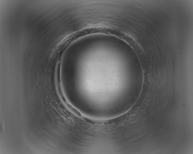 X0000052640968200507011342