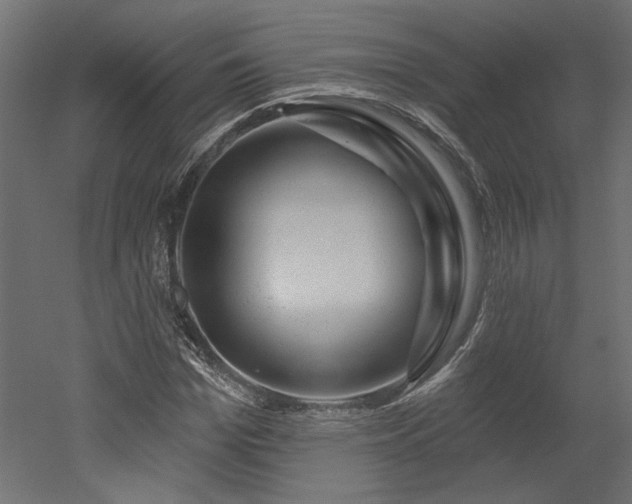 X0000052640969200507011342