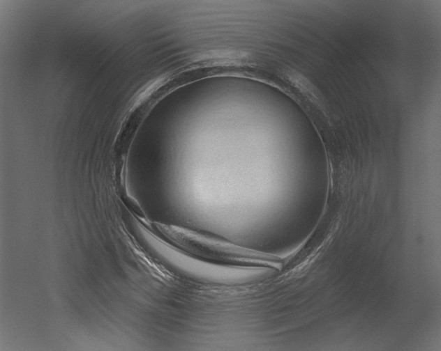 X0000052640970200507011342