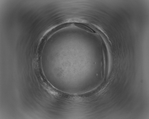 X0000052640971200507011342