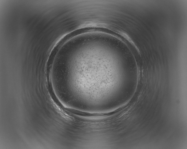 X0000052640972200507011342