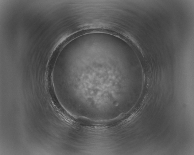 X0000052640975200507011342