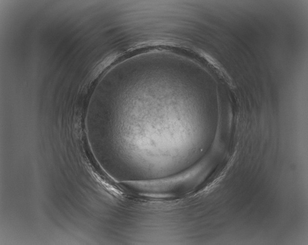 X0000052640977200507011342