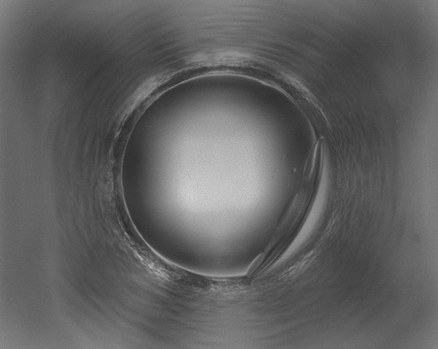 X0000052640978200507011342