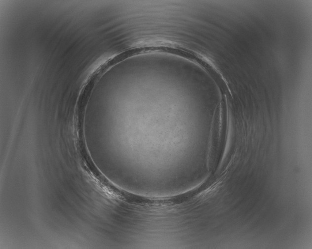 X0000052640979200507011342