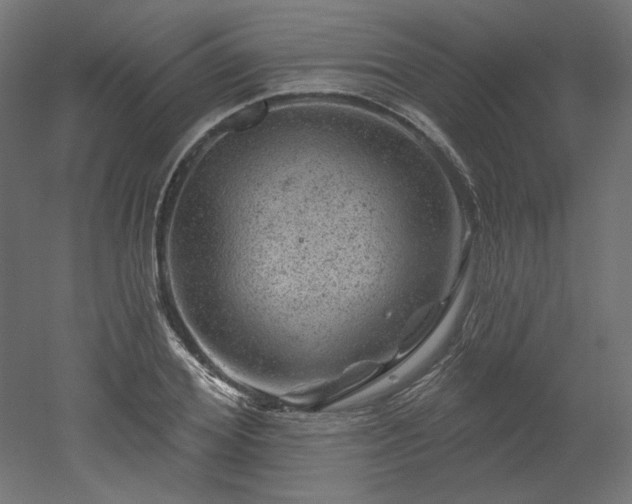 X0000052640980200507011342