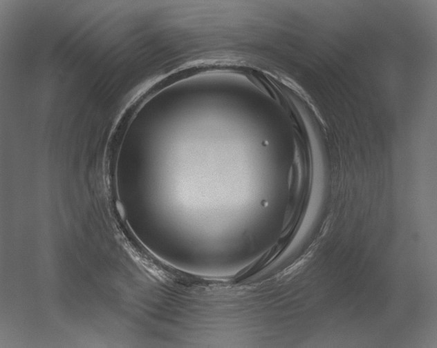 X0000052640981200507011342