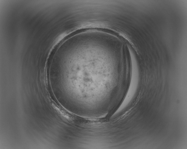 X0000052640982200507011342