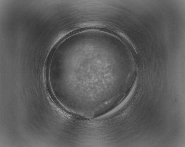 X0000052640983200507011342