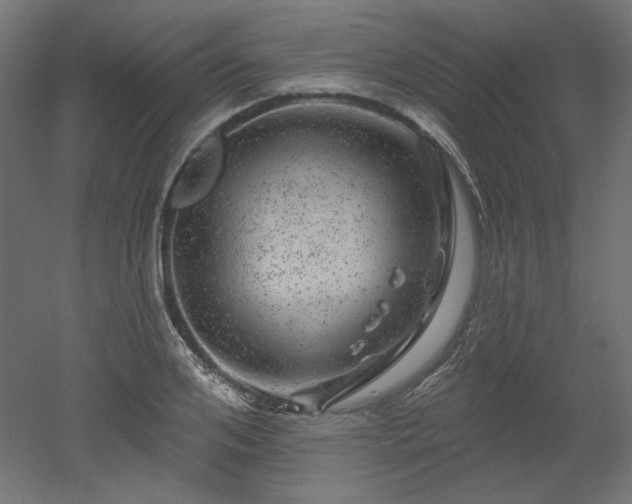 X0000052640984200507011342