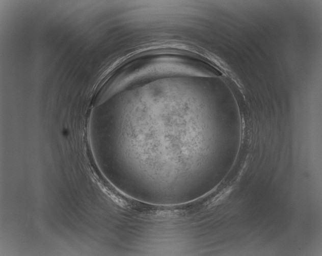 X0000052640985200507011342