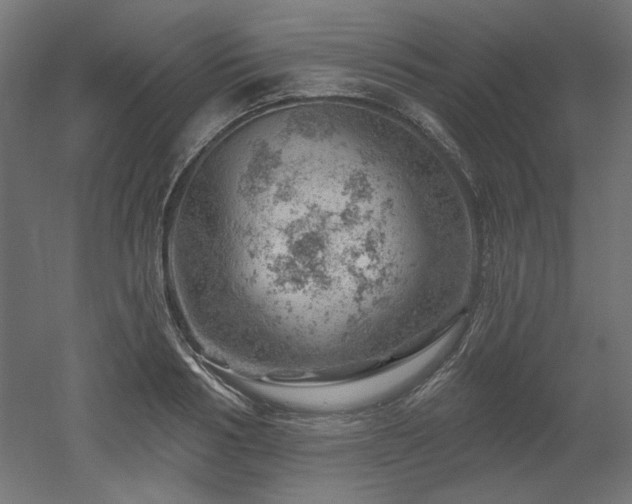 X0000052640986200507011341