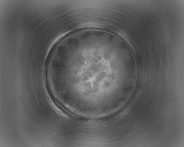 X0000052640987200507011341