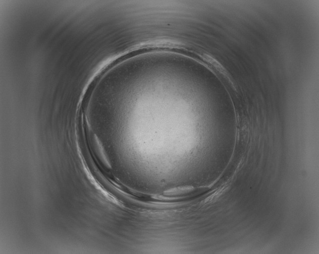 X0000052640989200507011341