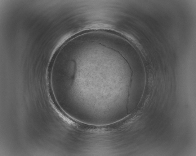 X0000052640990200507011341