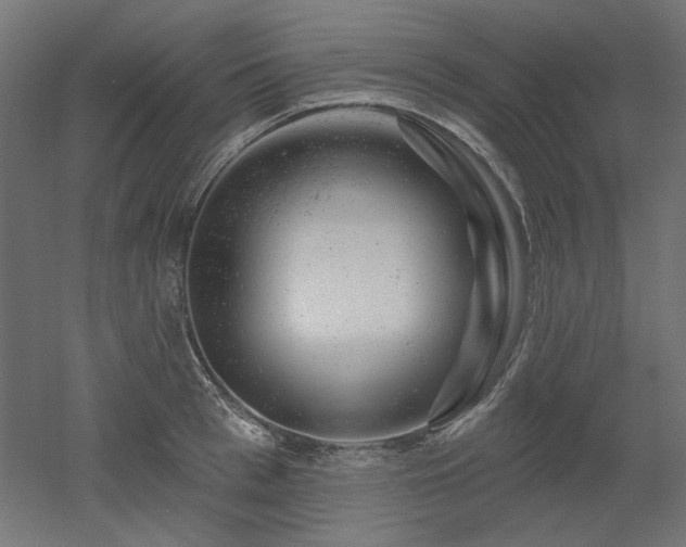 X0000052640993200507011341