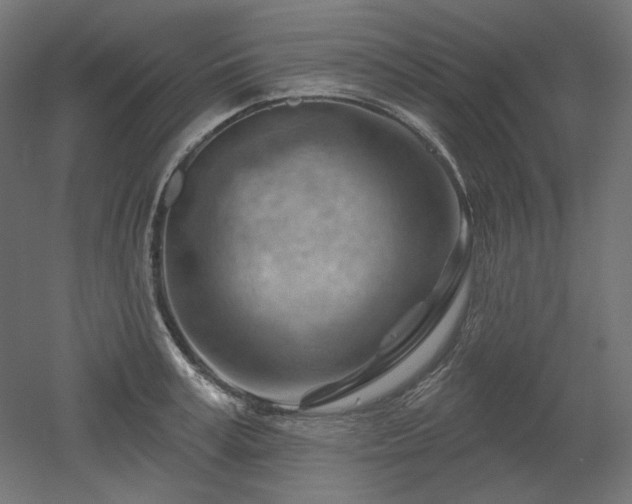 X0000052640995200507011341