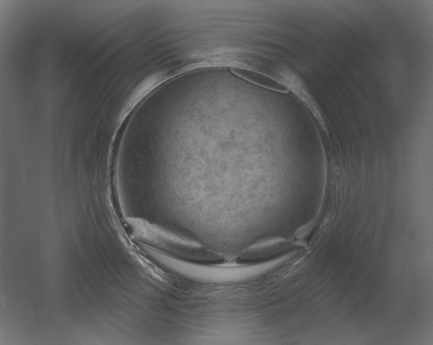 X0000052641002200507011341