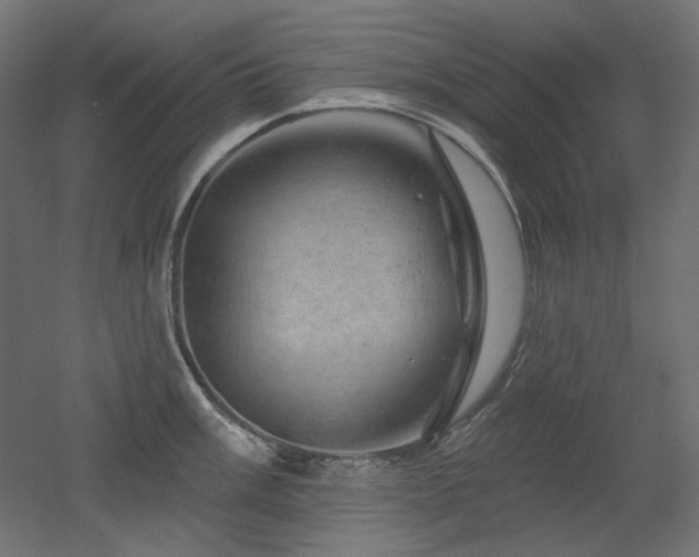 X0000052641003200507011341