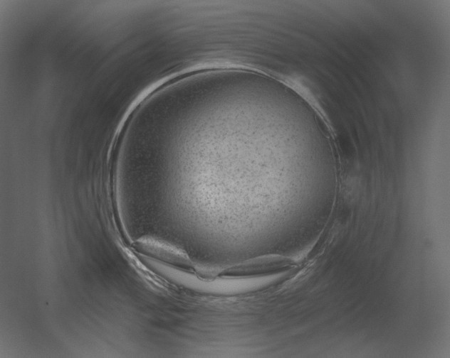 X0000052641004200507011341