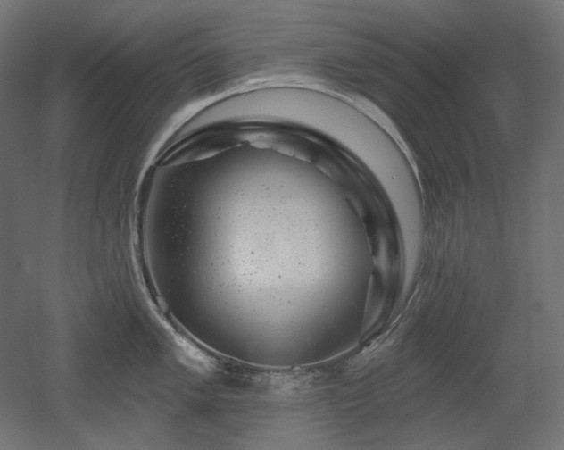 X0000052641005200507011341