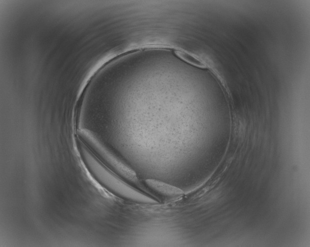 X0000052641006200507011341