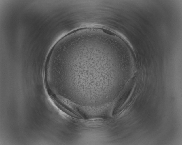 X0000052641007200507011341