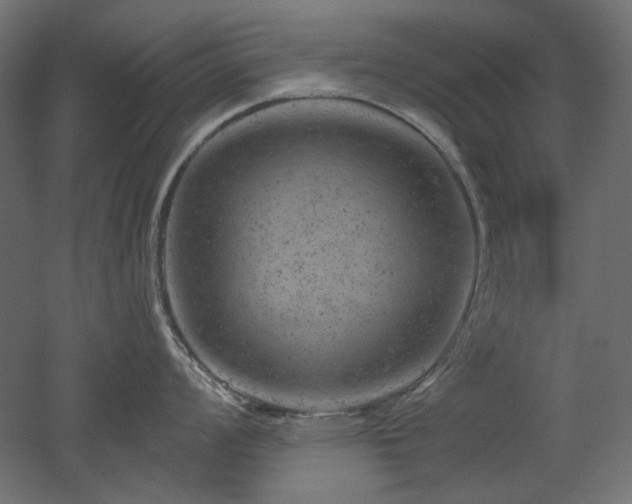 X0000052641008200507011341