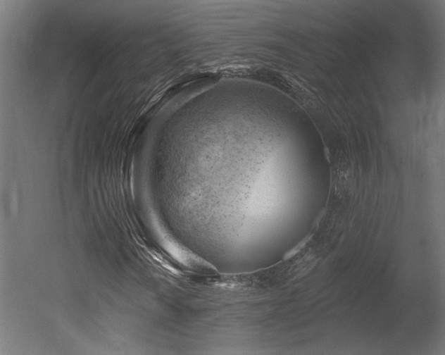 X0000052641010200507011340