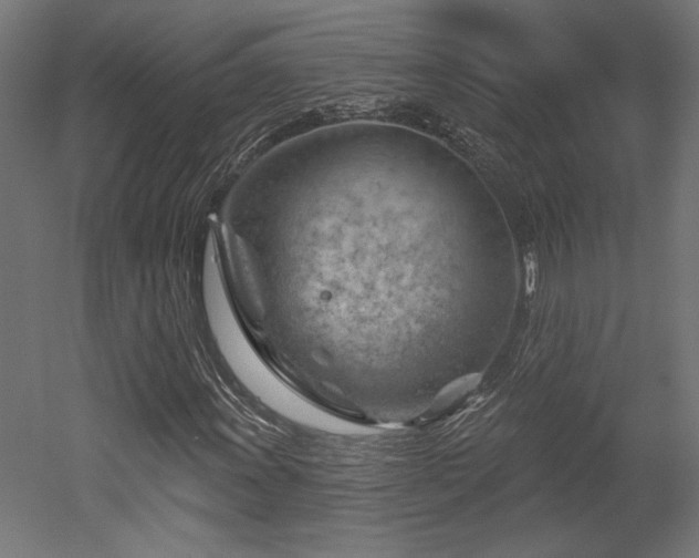 X0000052641011200507011340