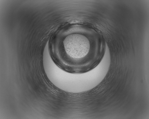 X0000052641012200507011340