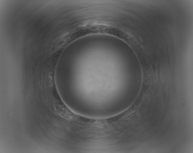 X0000052641013200507011340