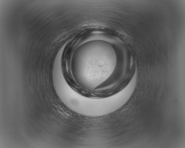 X0000052641014200507011340