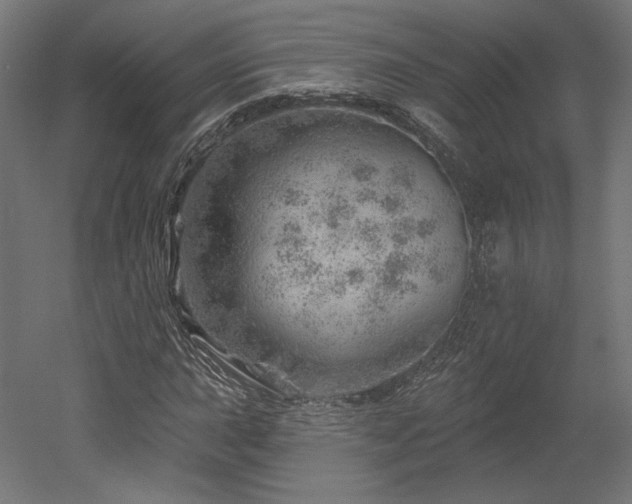 X0000052641015200507011340