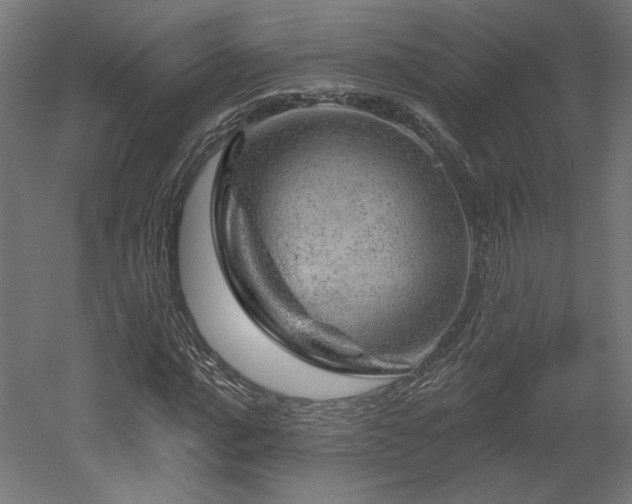 X0000052641016200507011340