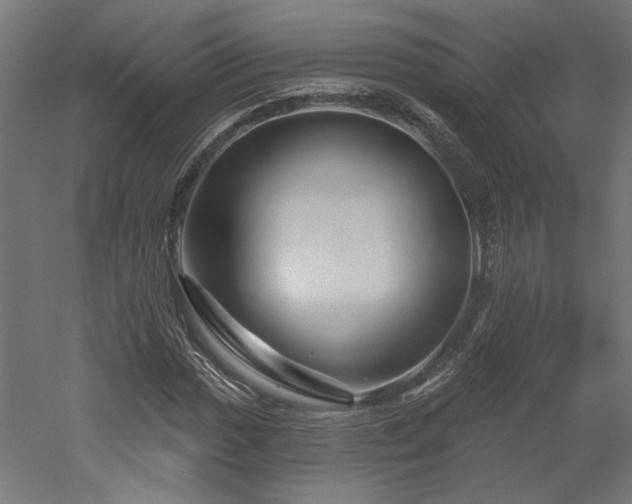 X0000052641017200507011340