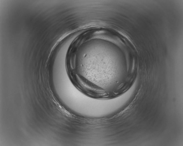 X0000052641018200507011340