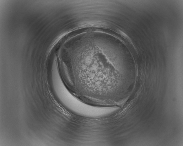 X0000052641019200507011340