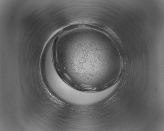 X0000052641020200507011340