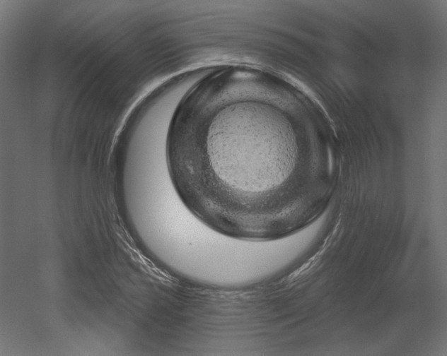 X0000052641021200507011341