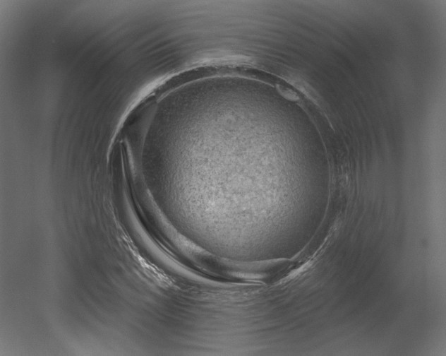 X0000052641022200507011341