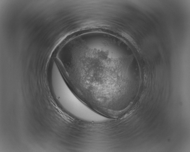 X0000052641023200507011341