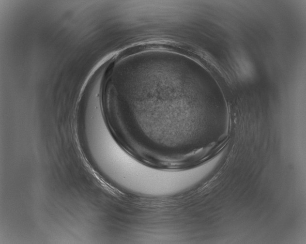 X0000052641024200507011341