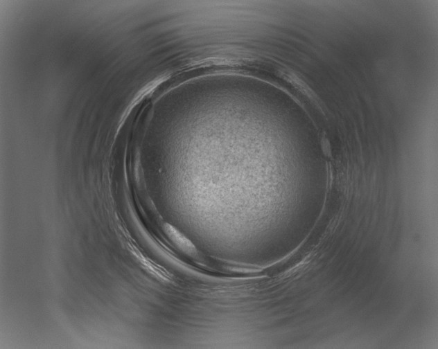 X0000052641026200507011341