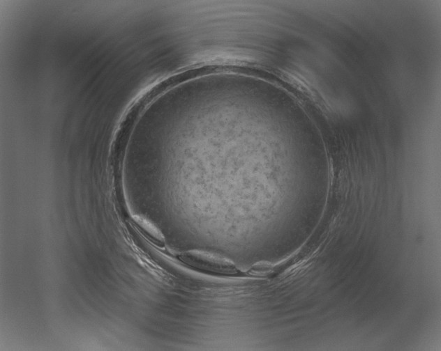 X0000052641027200507011341