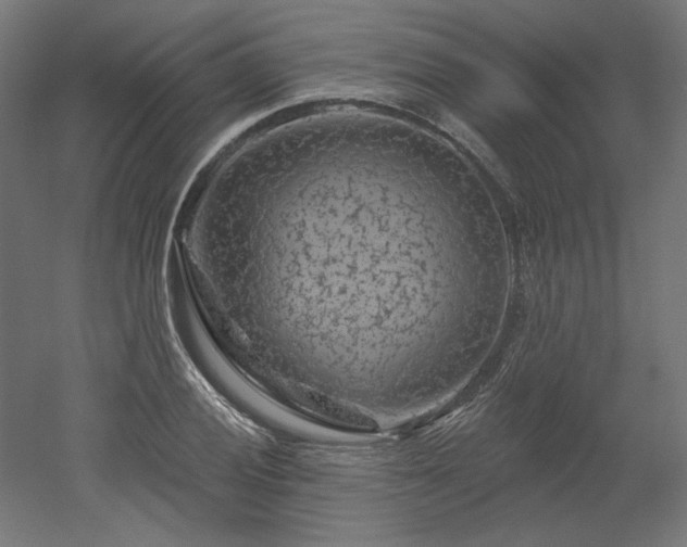 X0000052641028200507011341