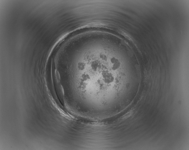 X0000052641029200507011341