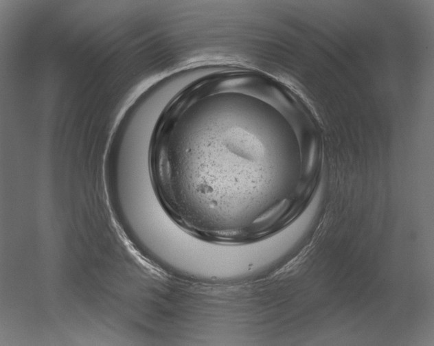 X0000052641030200507011341