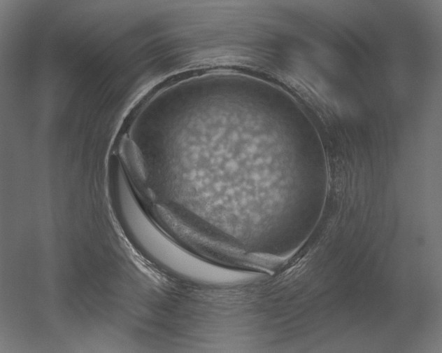 X0000052641031200507011341