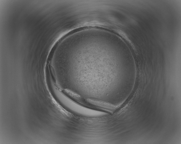 X0000052641032200507011341